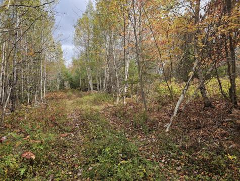 Map R09, Lot 12, Fox Run Drive Mariaville ME 04605