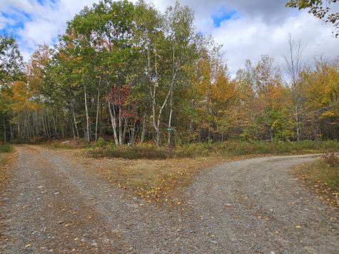 Map R09, Lot 12, Fox Run Drive Mariaville ME 04605