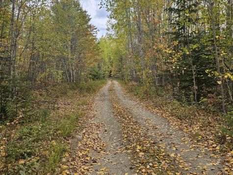 Map R09, Lot 12, Fox Run Drive Mariaville ME 04605