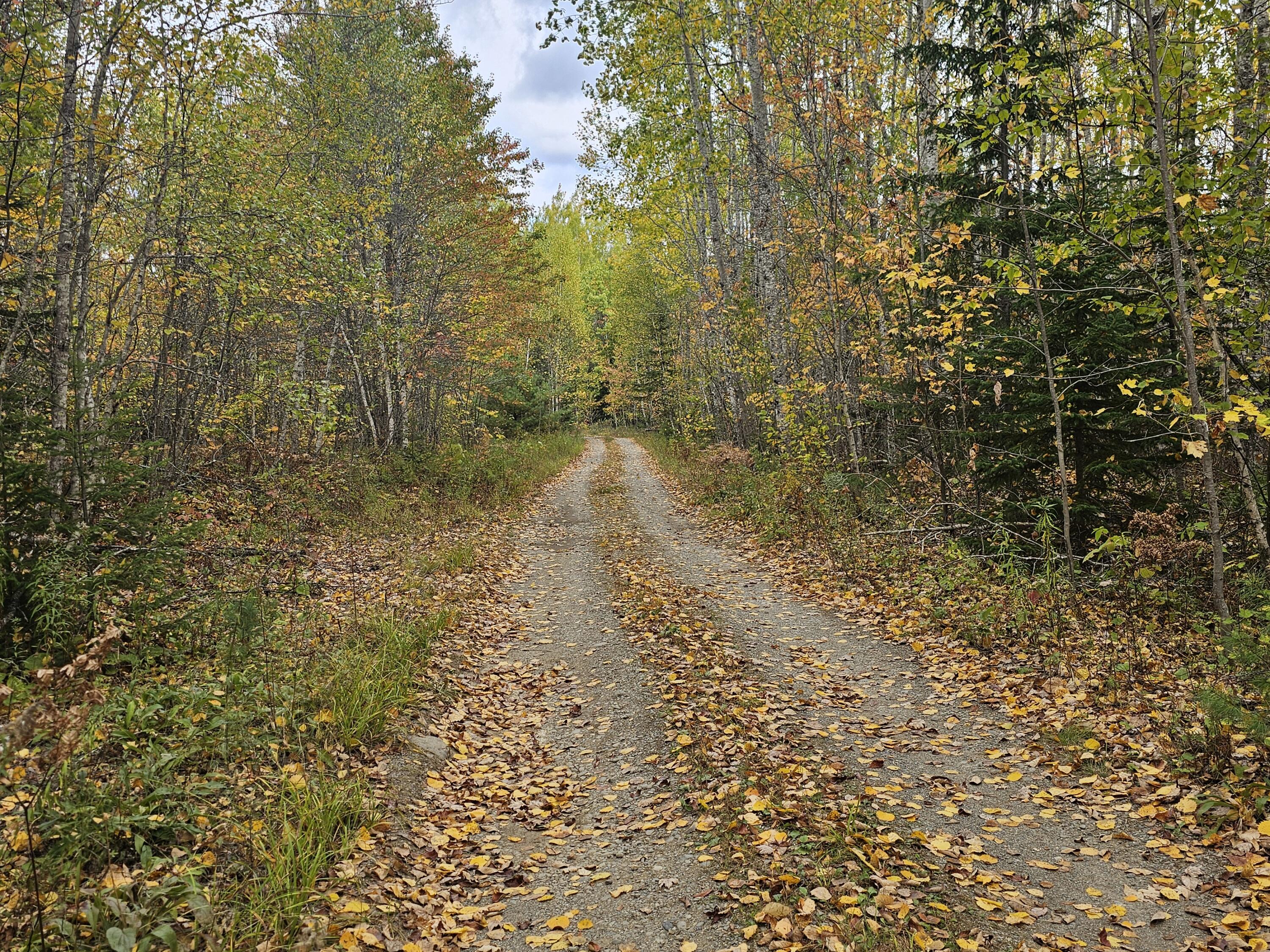 Map R09, Lot 12, Fox Run Drive Mariaville ME 04605