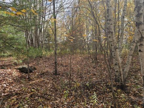 Map R09, Lot 12, Fox Run Drive Mariaville ME 04605