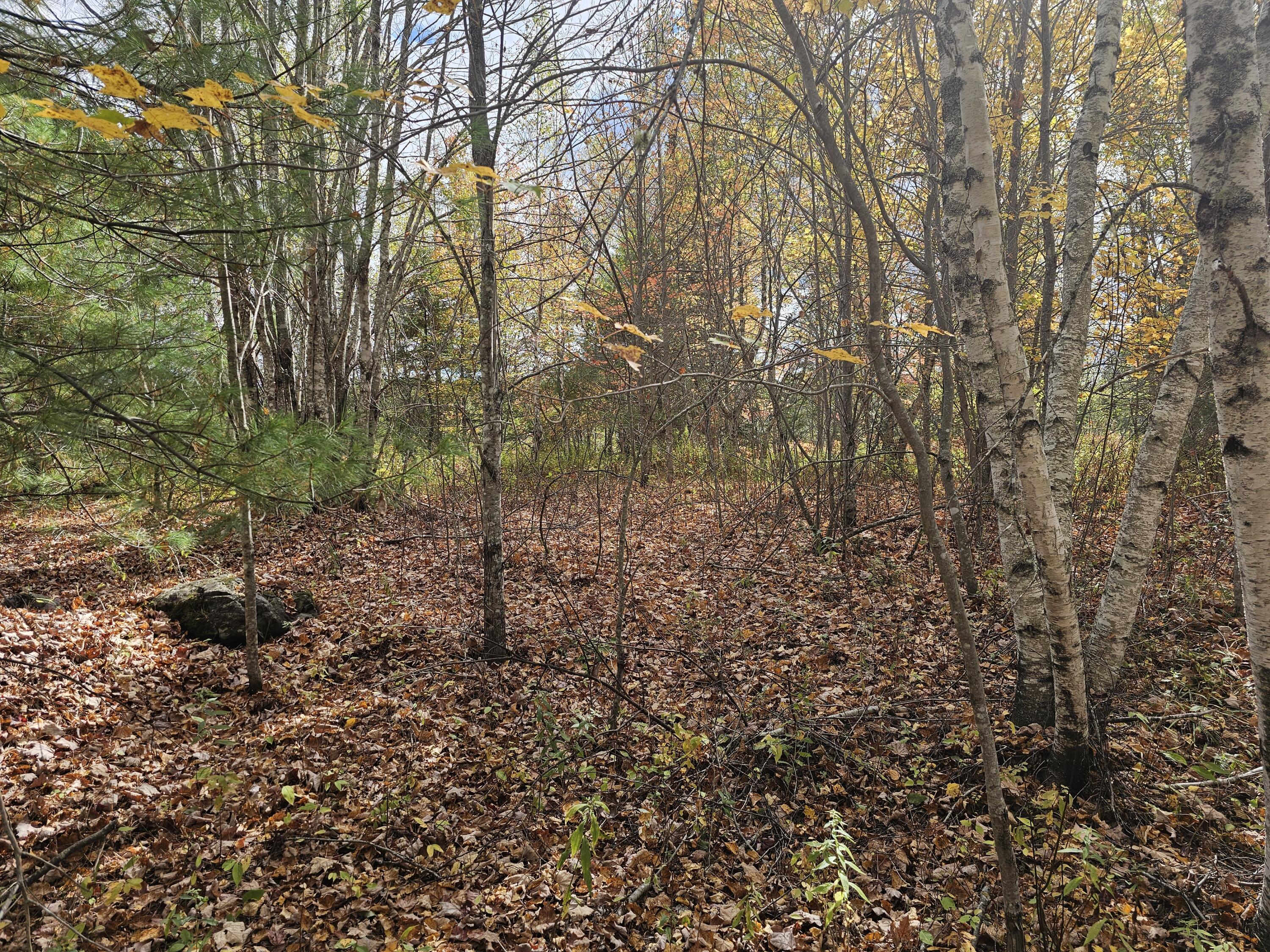 Map R09, Lot 12, Fox Run Drive Mariaville ME 04605