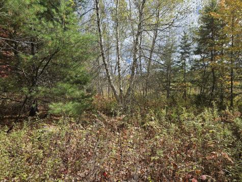 Map R09, Lot 12, Fox Run Drive Mariaville ME 04605