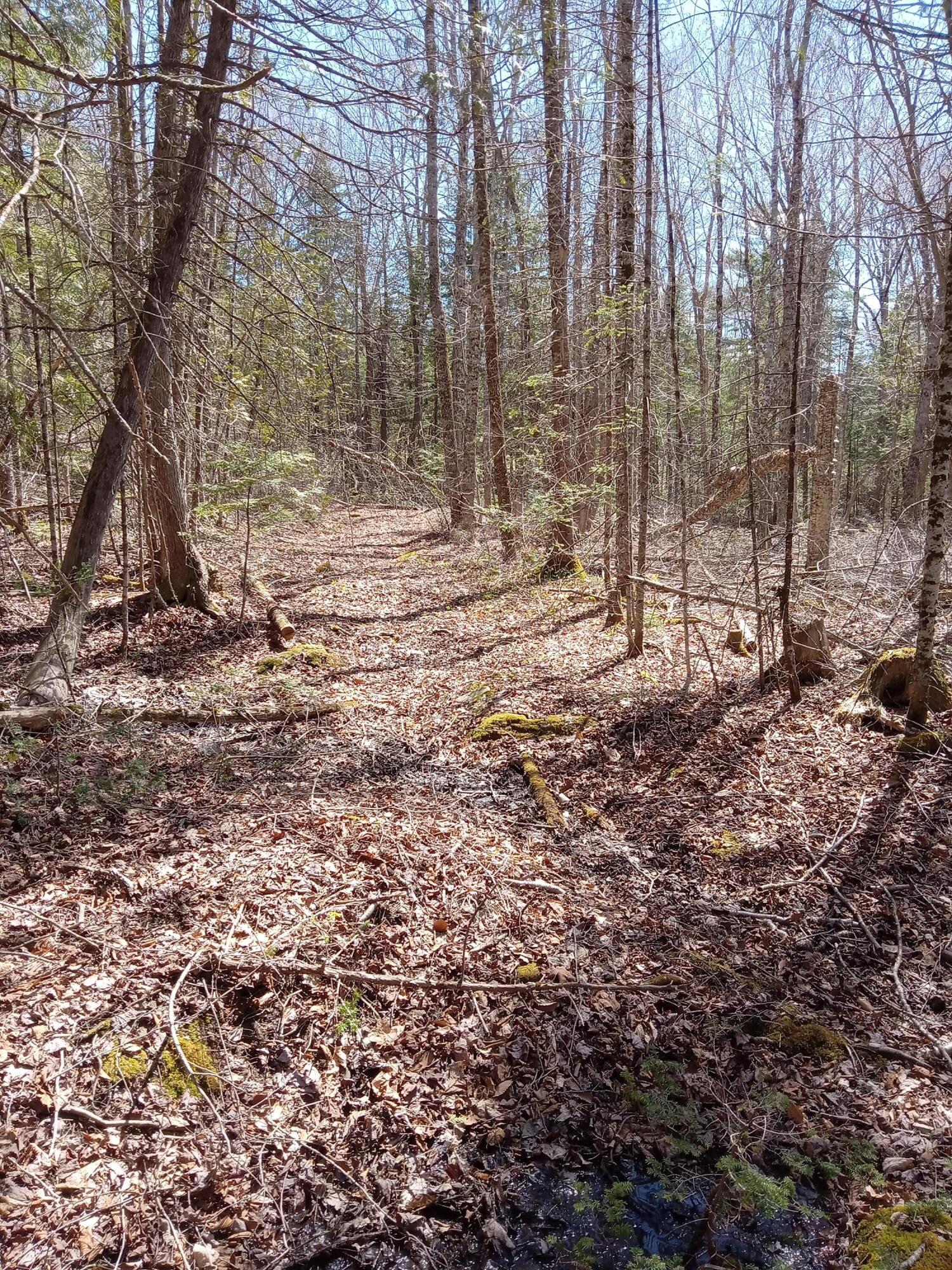 132 Village Road Jackson ME 04921