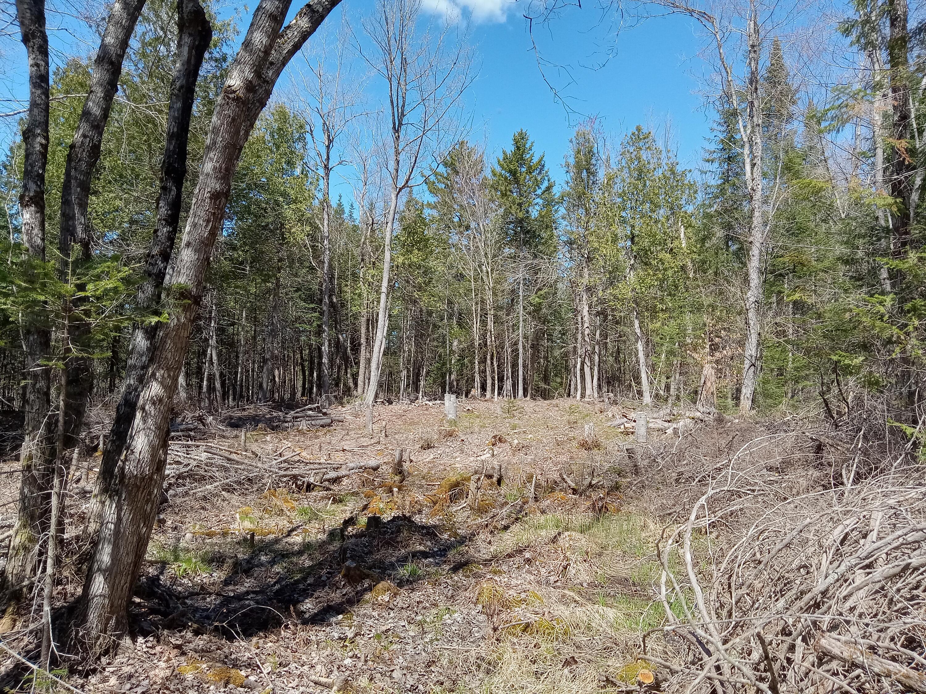 132 Village Road Jackson ME 04921