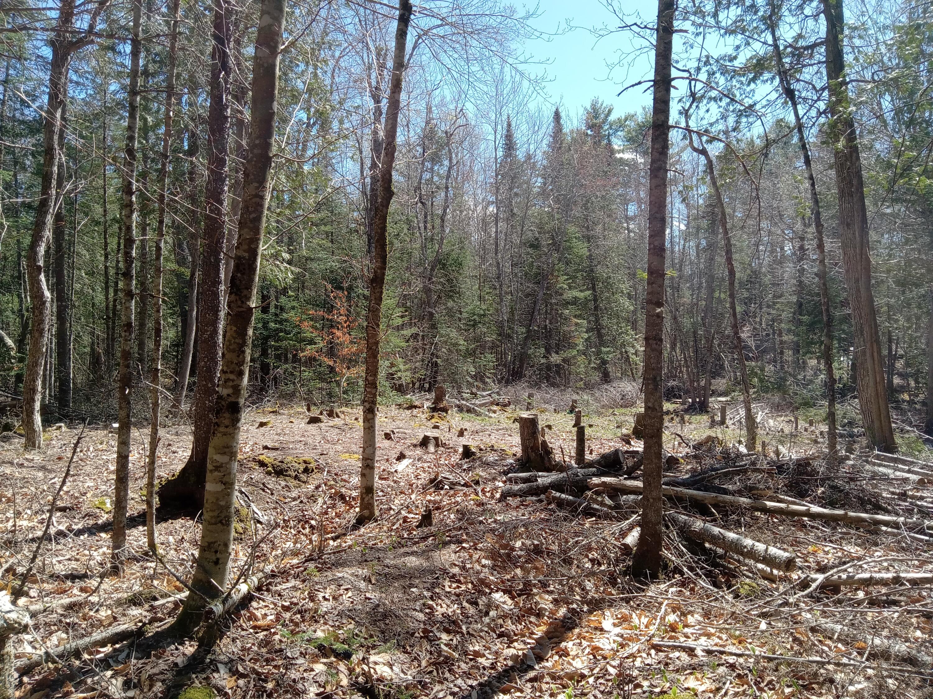 132 Village Road Jackson ME 04921