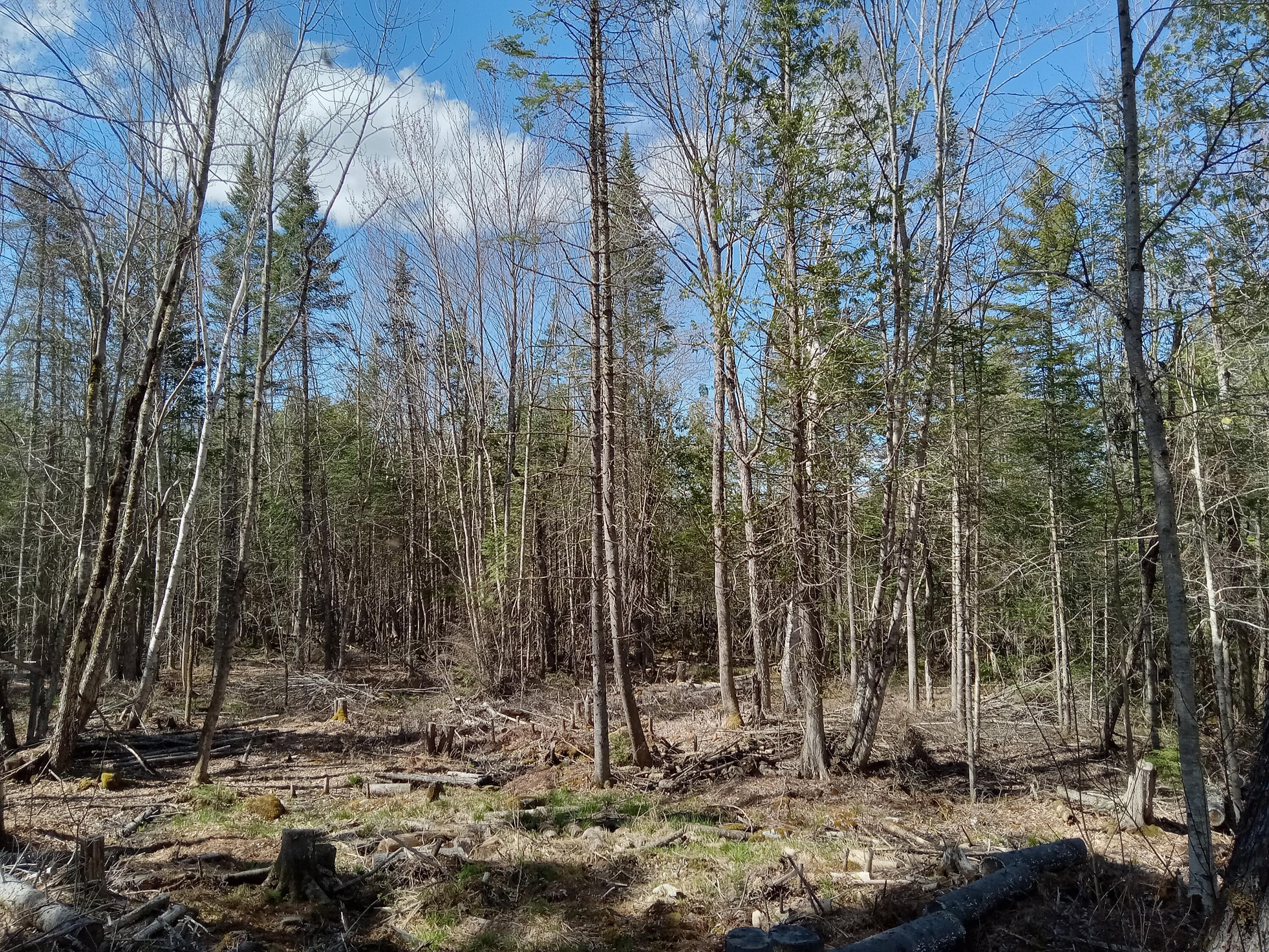 132 Village Road Jackson ME 04921