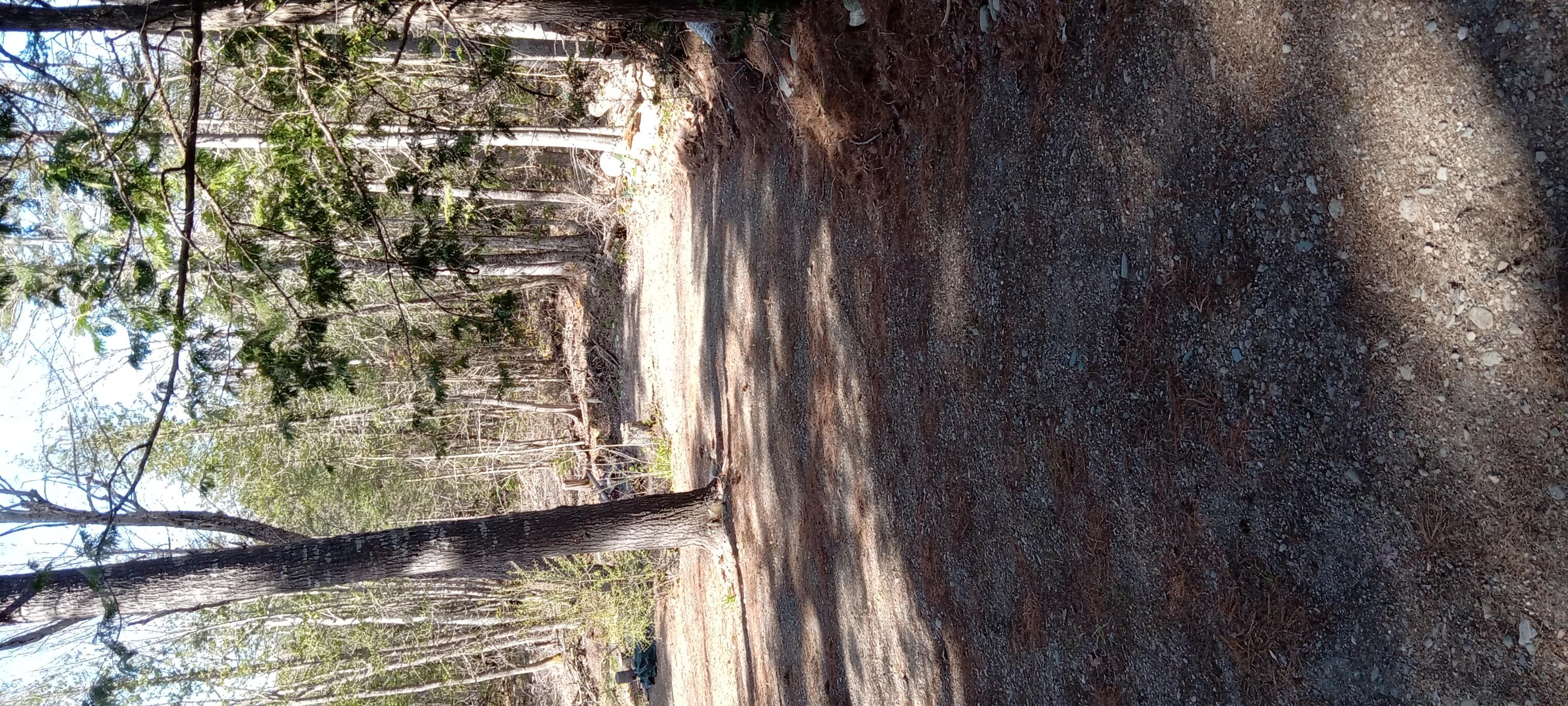 132 Village Road Jackson ME 04921