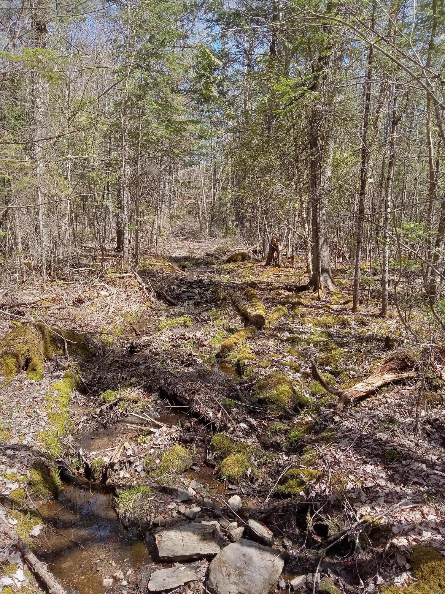 132 Village Road Jackson ME 04921