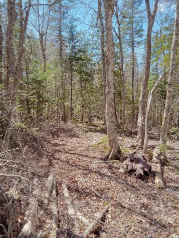132 Village Road Jackson ME 04921