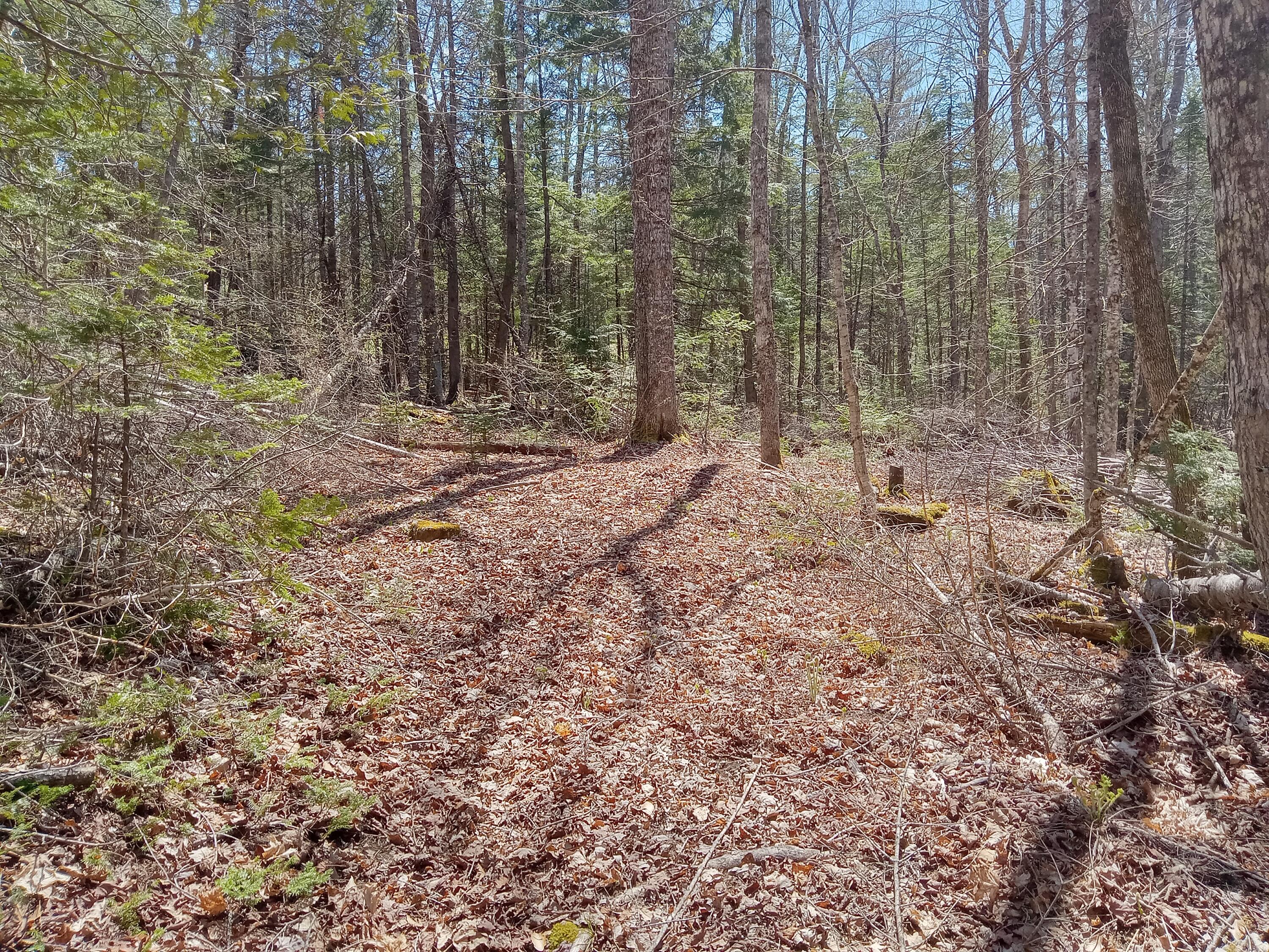 132 Village Road Jackson ME 04921