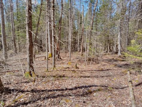 132 Village Road Jackson ME 04921