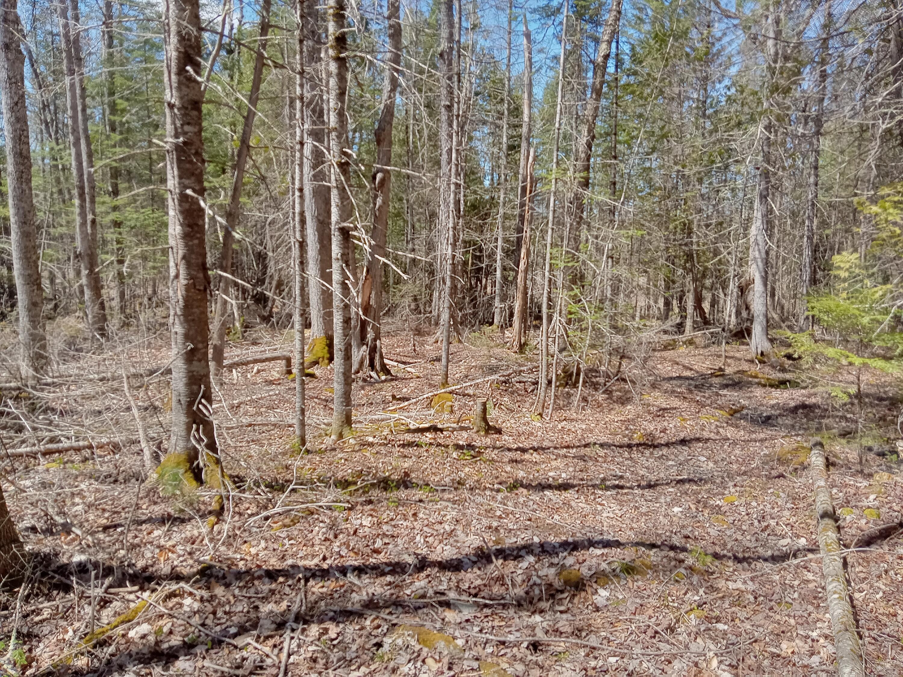 132 Village Road Jackson ME 04921
