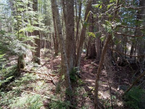 132 Village Road Jackson ME 04921