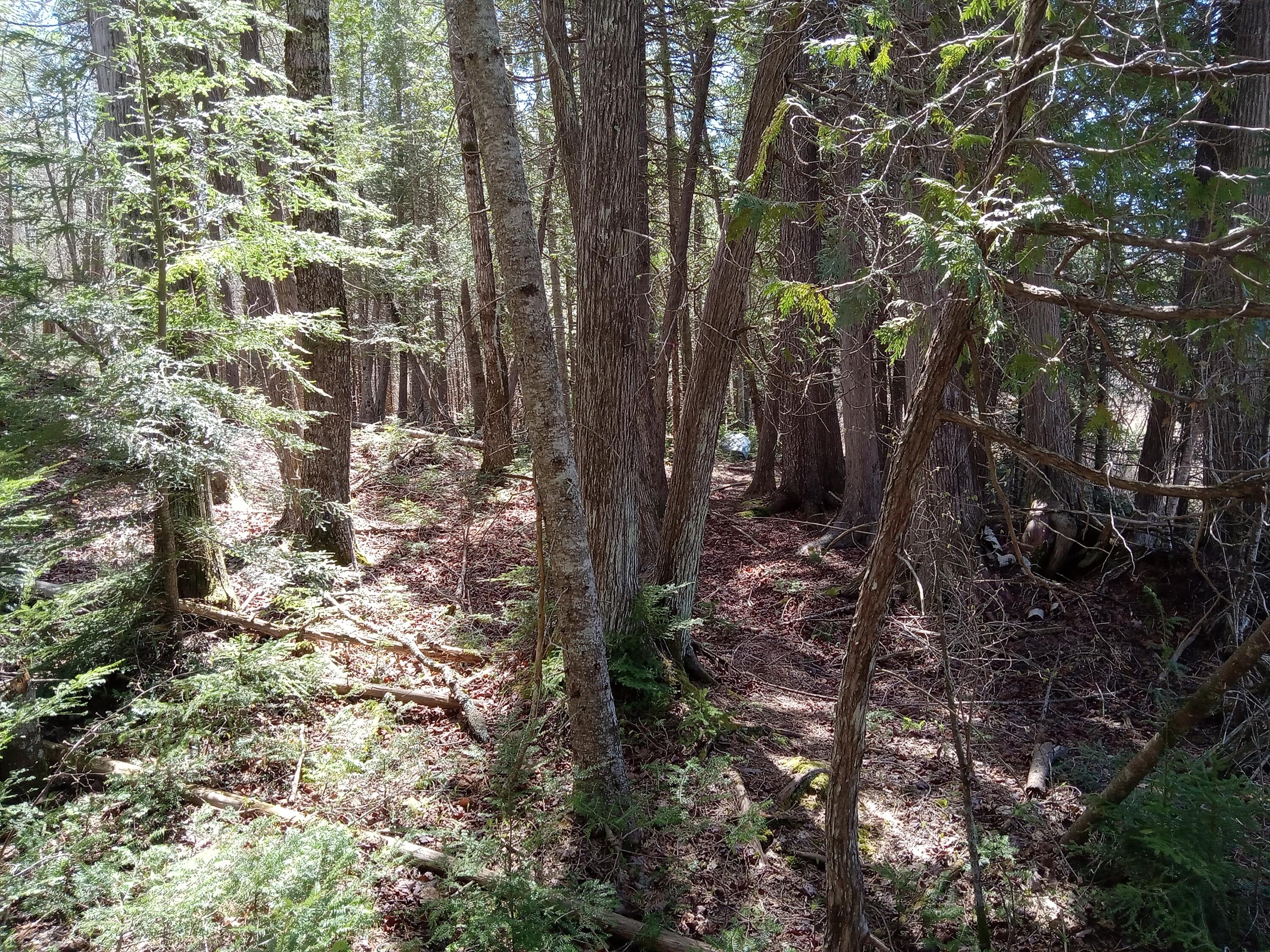 132 Village Road Jackson ME 04921