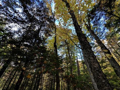 Lot 27 Loon Landing Greenville ME 04441