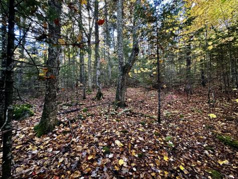 Lot 27 Loon Landing Greenville ME 04441
