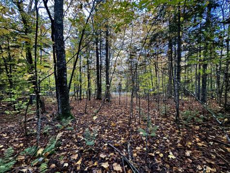 Lot 27 Loon Landing Greenville ME 04441