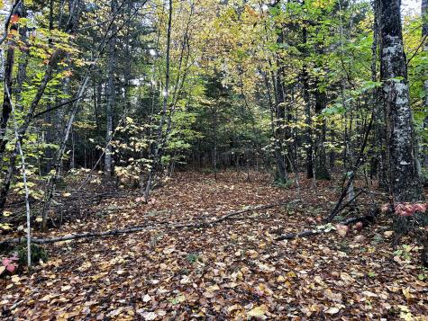 Lot 27 Loon Landing Greenville ME 04441