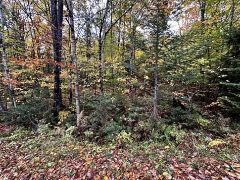 Lot 27 Loon Landing Greenville ME 04441