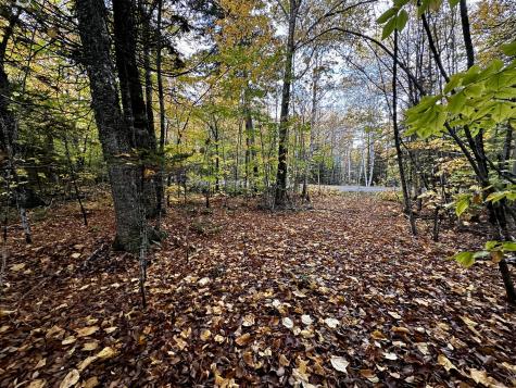 Lot 27 Loon Landing Greenville ME 04441