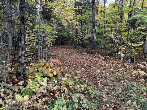 Lot 27 Loon Landing Greenville ME 04441