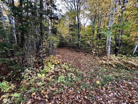 Lot 27 Loon Landing Greenville ME 04441