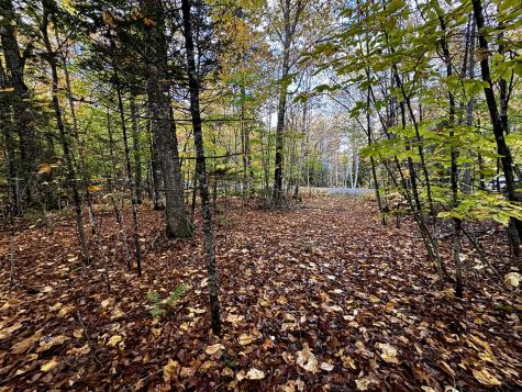 Lot 27 Loon Landing Greenville ME 04441