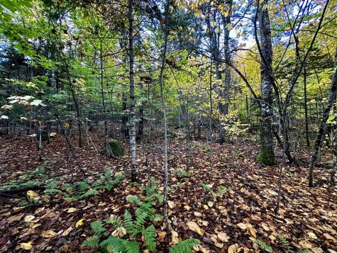 Lot 27 Loon Landing Greenville ME 04441