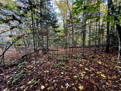 Lot 27 Loon Landing Greenville ME 04441