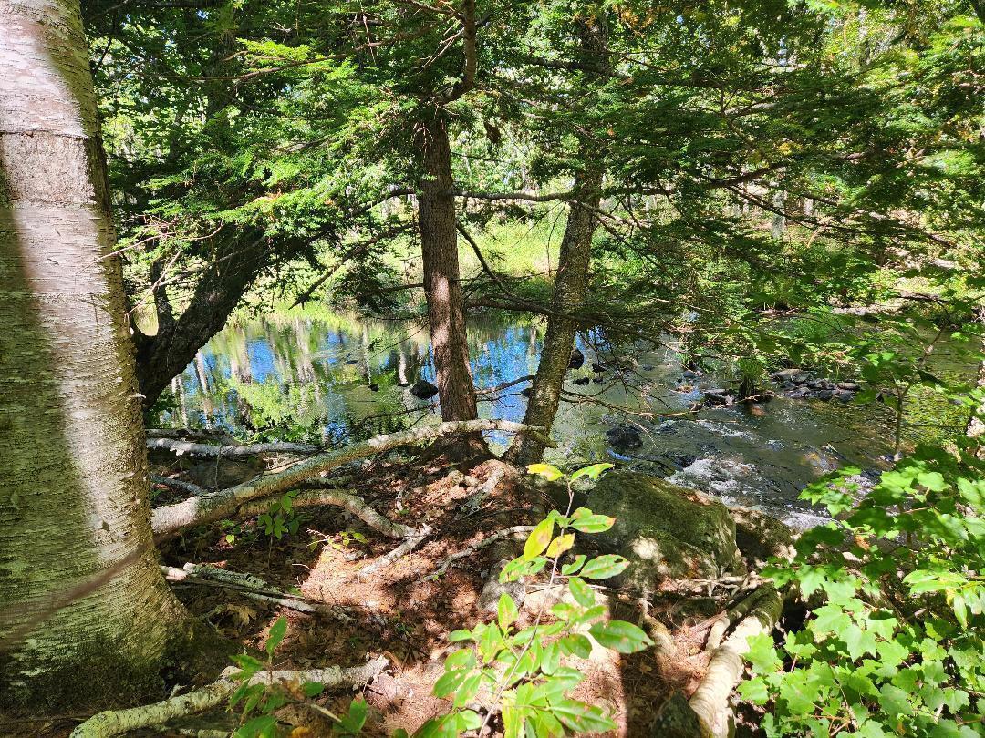 28 Cemetery Road Montville ME 04941