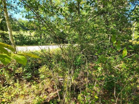 28 Cemetery Road Montville ME 04941
