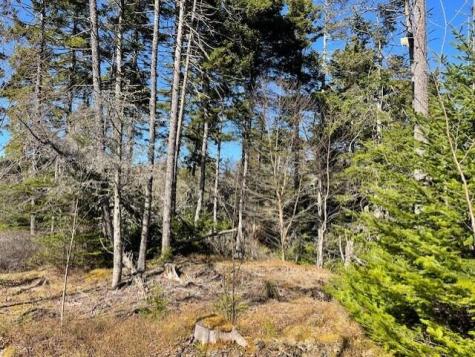 9 Rockledge Road South Thomaston ME 04858