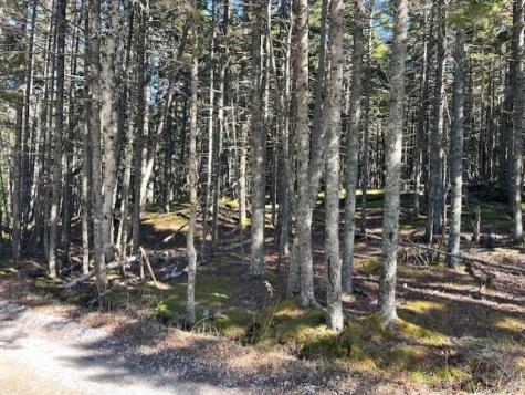9 Rockledge Road South Thomaston ME 04858