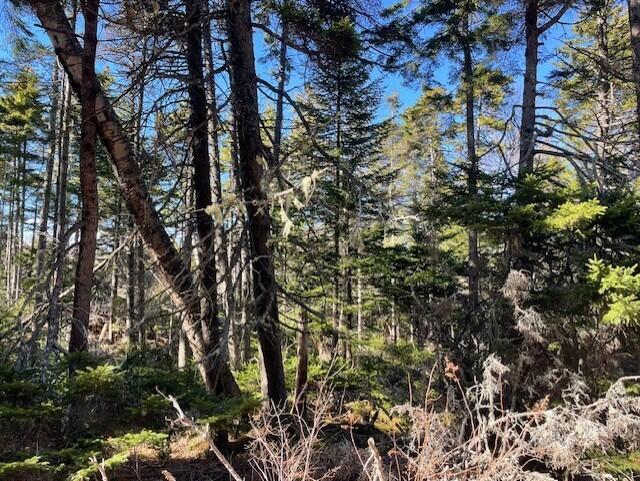 9 Rockledge Road South Thomaston ME 04858