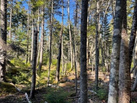 9 Rockledge Road South Thomaston ME 04858