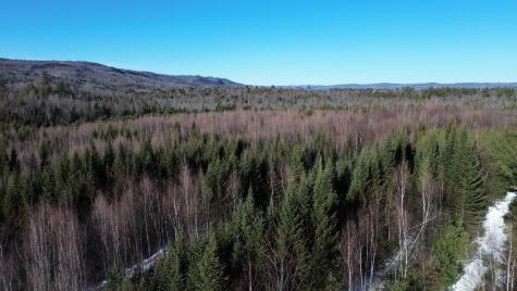 M2L56,57 Bert Berry Road Concord Twp ME 04920