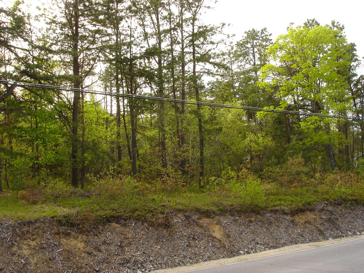 Lot 5 Newfield Road Shapleigh ME 04076