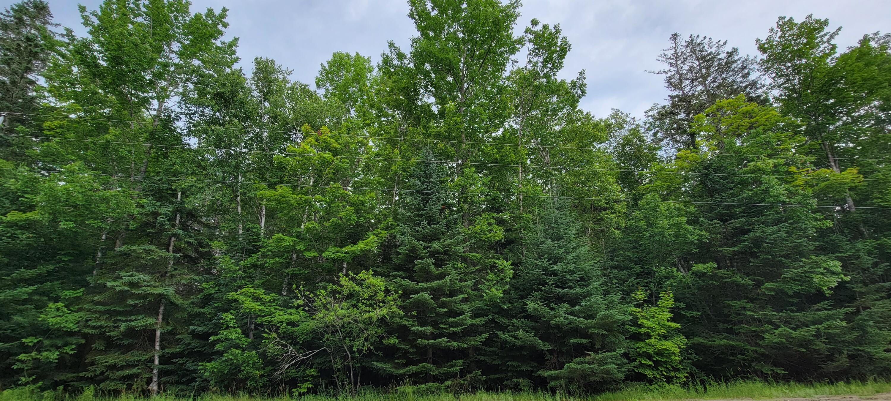 Lot026 Ayers Juntion Road Pembroke, ME