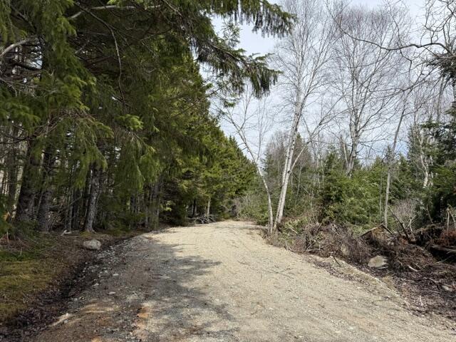 Lot 6 Holmes Bay Farms Road Whiting ME 04691