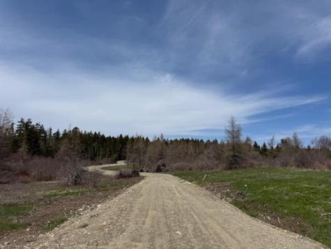 Lot 6 Holmes Bay Farms Road Whiting ME 04691