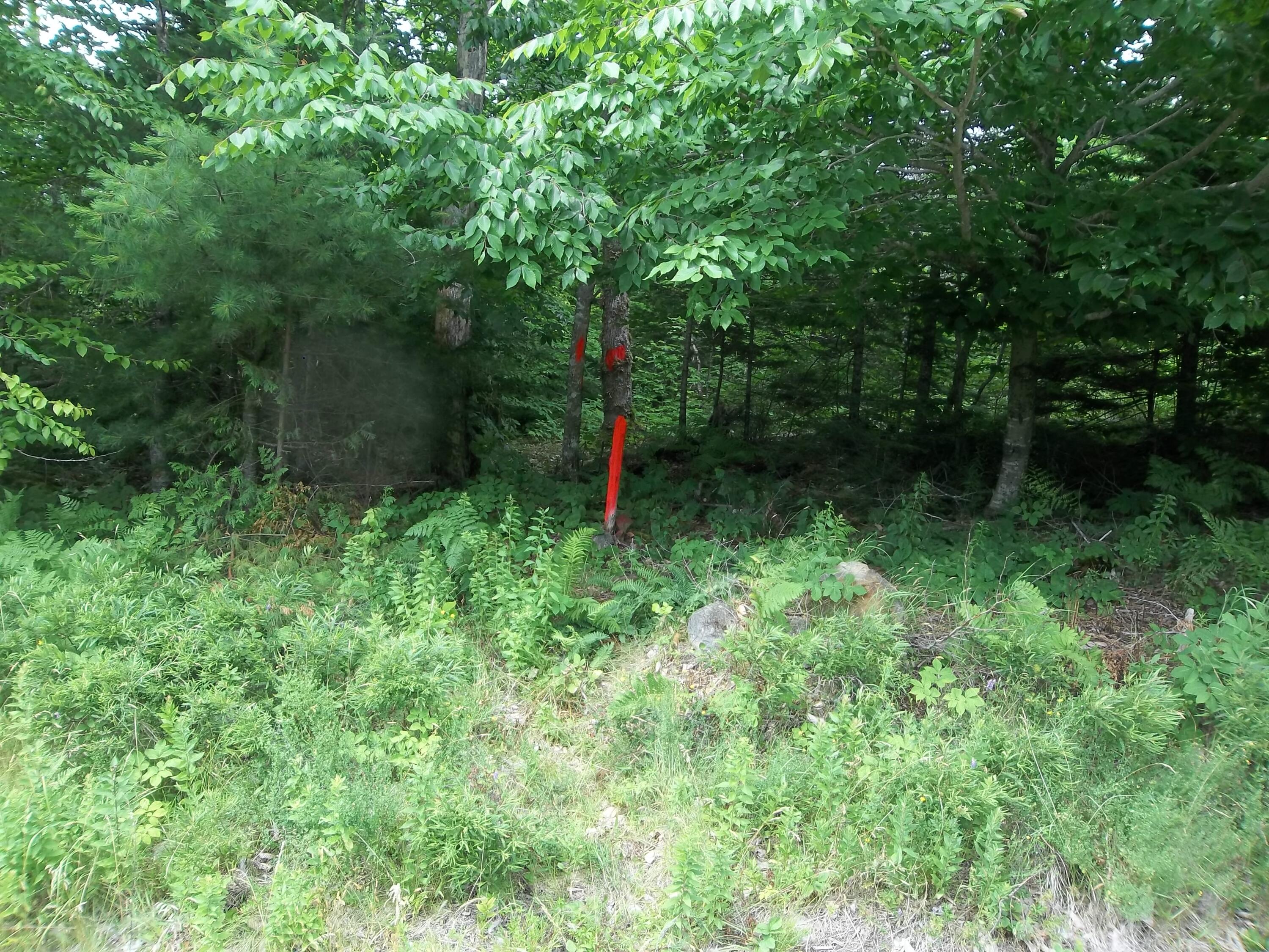 Lot 127d Route 9 Crawford ME 04694