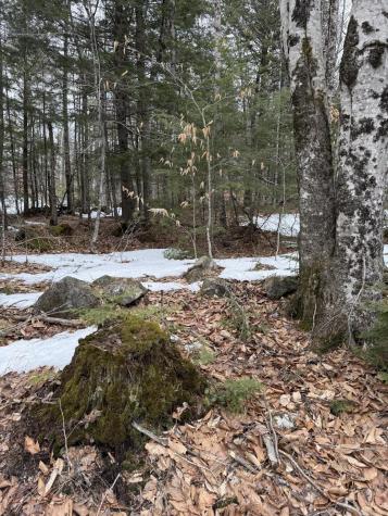 Tbd Kilby Edwards Road Otisfield ME 04270
