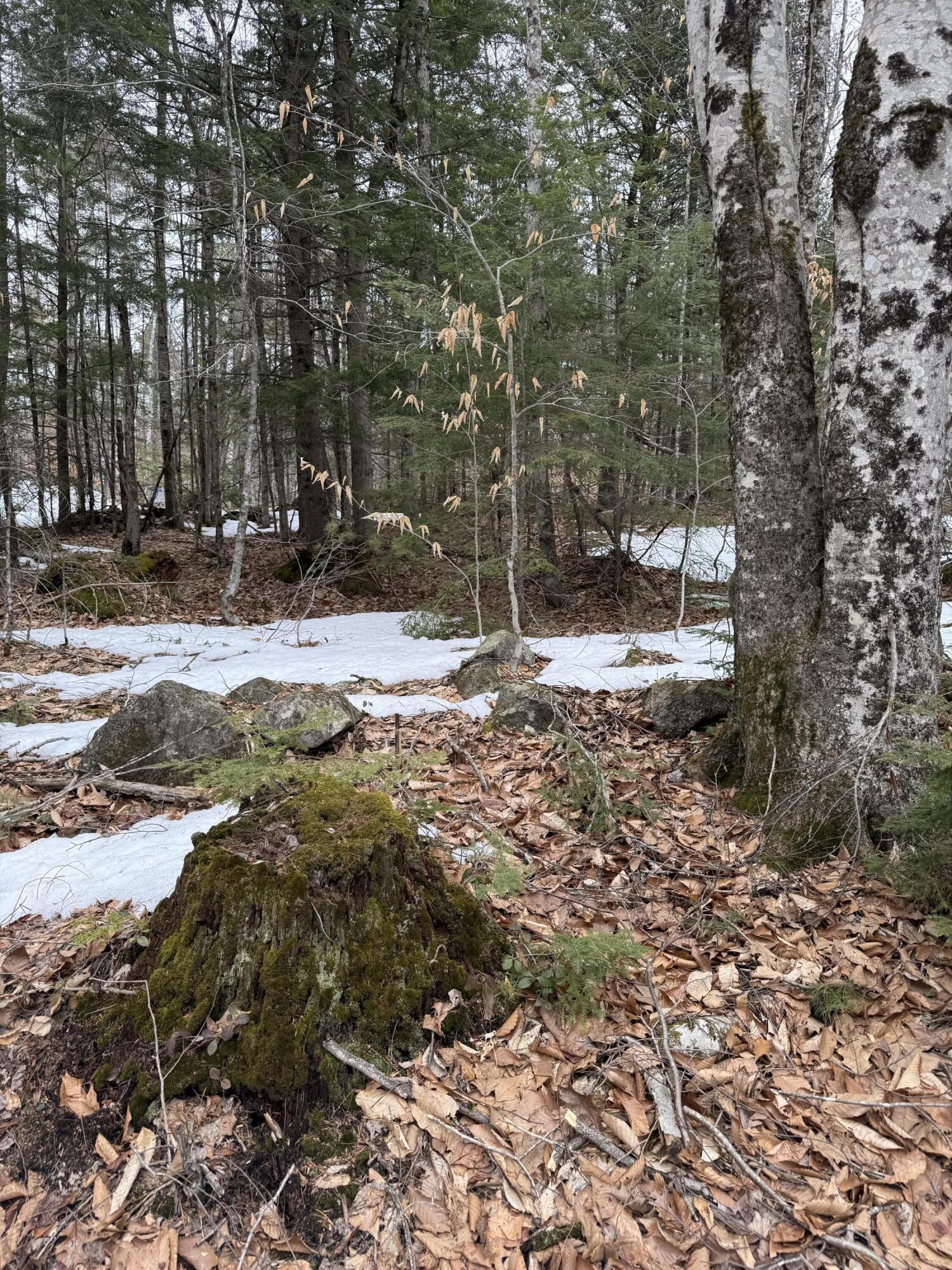 Tbd Kilby Edwards Road Otisfield ME 04270