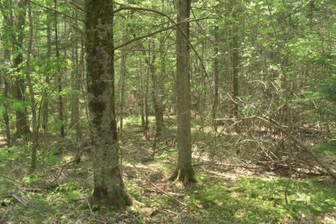 Lot 3-2 Milbridge Road Cherryfield ME 04622