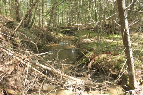 Lot 3-2 Milbridge Road Cherryfield ME 04622