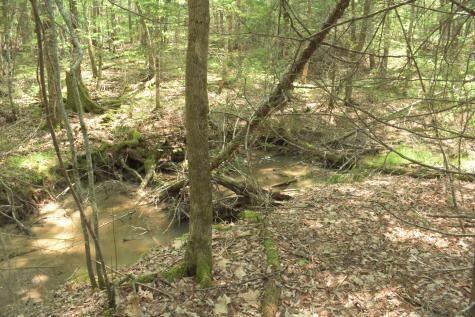 Lot 3-2 Milbridge Road Cherryfield ME 04622