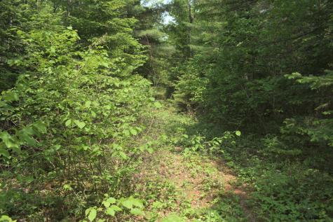 Lot 3-2 Milbridge Road Cherryfield ME 04622