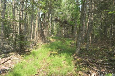 Lot 3-2 Milbridge Road Cherryfield ME 04622