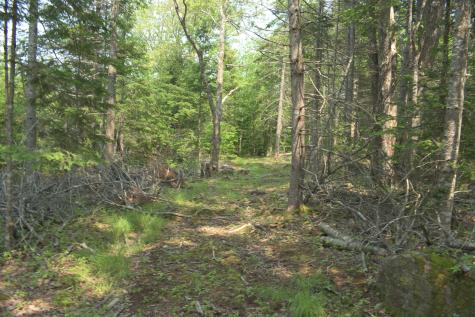 Lot 3-2 Milbridge Road Cherryfield ME 04622
